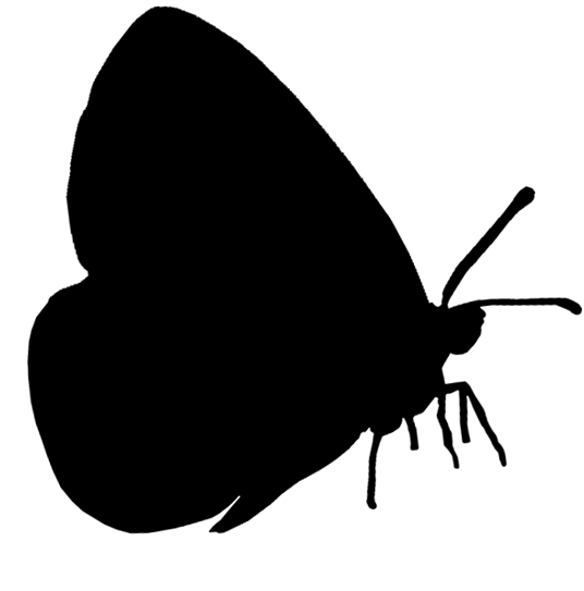 Logo GOE